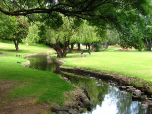 Картинка природа