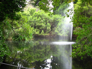 Картинка природа