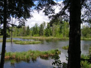 Картинка природа