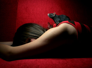 Картинка разное