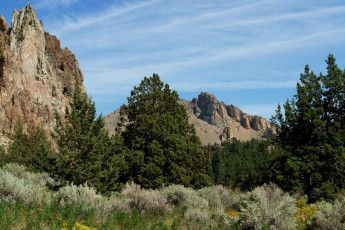 Картинка природа