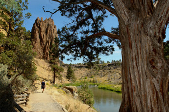 Картинка природа