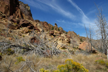 Картинка природа