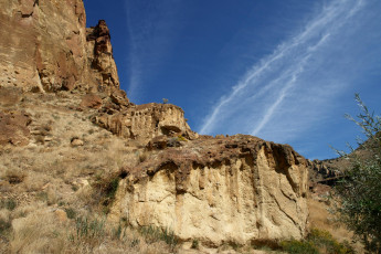 Картинка природа