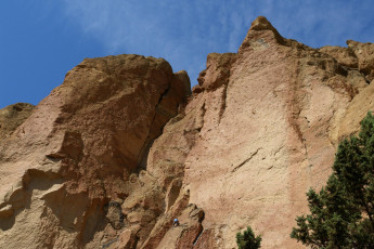 Картинка природа