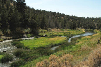 Картинка природа