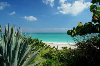 Картинка природа