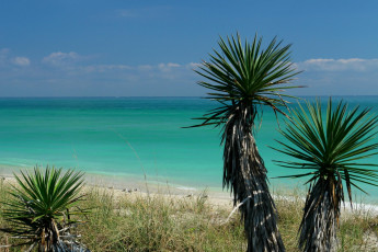 Картинка природа