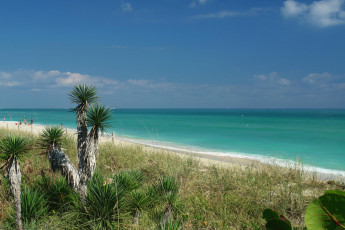 Картинка природа