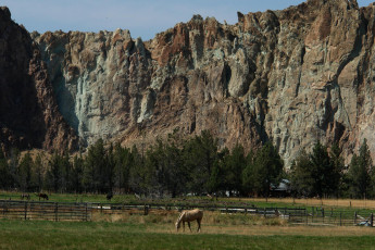 Картинка природа