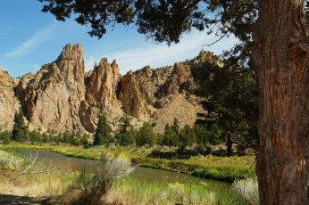 Картинка природа