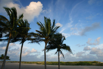 Картинка природа