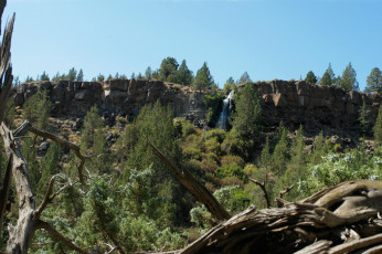 Картинка природа