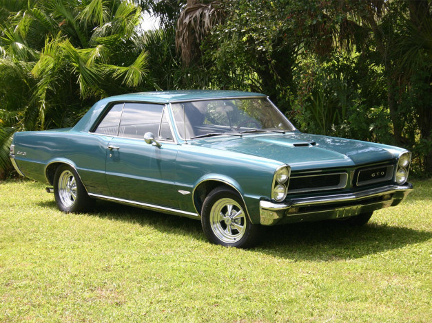 Обои картинки фото автомобили, pontiac