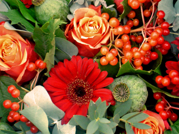 Обои картинки фото цветы, разные, вместе