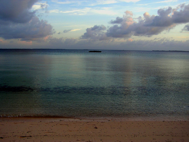 Обои картинки фото природа