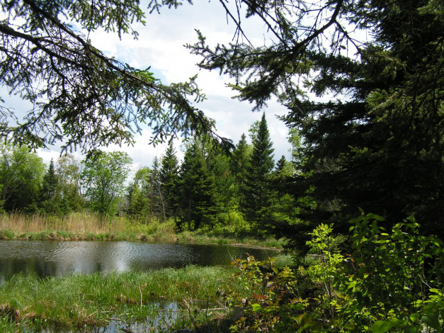 Обои картинки фото природа