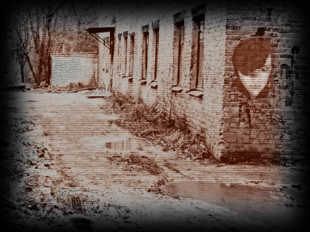 Обои картинки фото разное