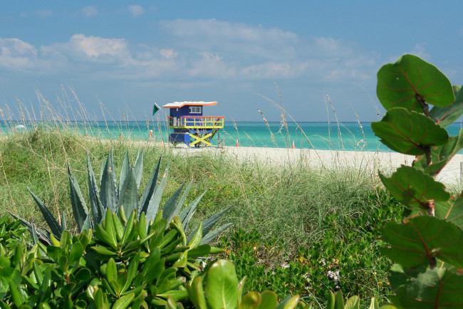 Обои картинки фото природа