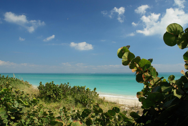 Обои картинки фото природа