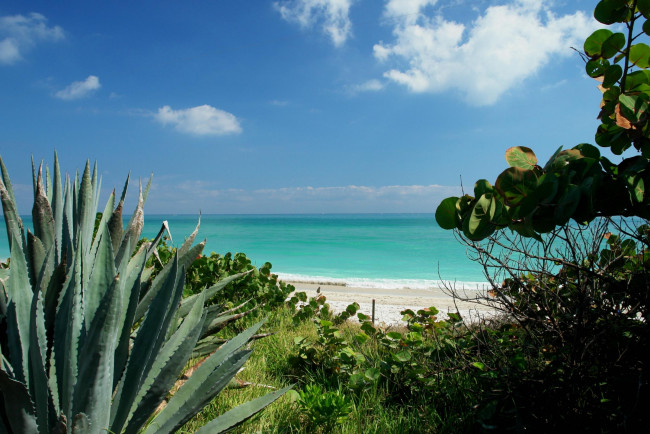 Обои картинки фото природа