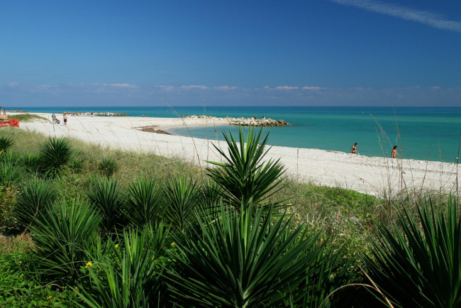 Обои картинки фото природа