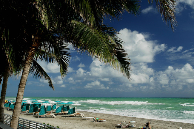 Обои картинки фото природа