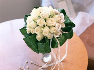 Картинка цветы розы