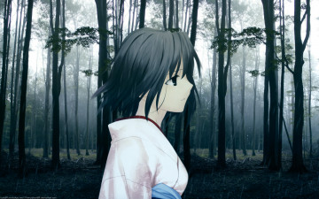 Картинка shiki ryougi аниме kara no kyokai