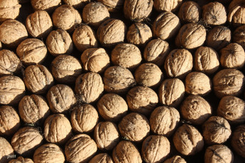 Картинка еда орехи каштаны грецкие
