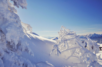 Картинка природа зима снег