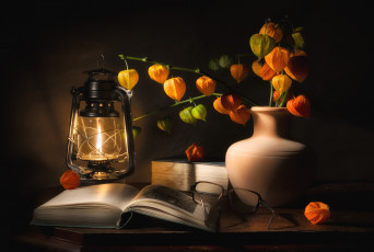 Картинка еда физалис фонарь книга очки букет