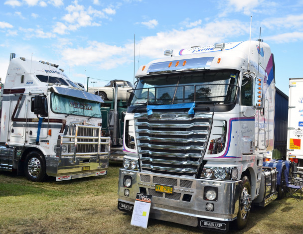 Обои картинки фото freightliner, автомобили, daimler, trucks, north, america, llc, тяжелые, тягачи, сша