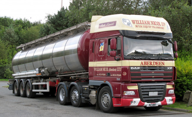 Обои картинки фото daf, автомобили, нидерланды, автобусы, шасси, седельные, тягачи, trucks, nv