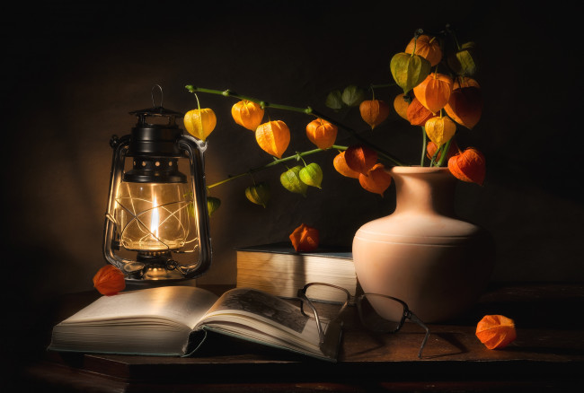 Обои картинки фото еда, физалис, фонарь, книга, очки, букет