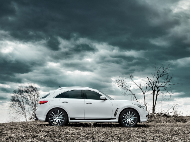 Обои картинки фото автомобили, infiniti
