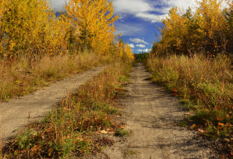 Картинка природа дороги осень