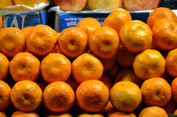 Картинка еда цитрусы прилавок