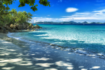 Картинка природа побережье деревья камни капли вода пляж