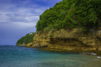 Картинка природа побережье лес скалы