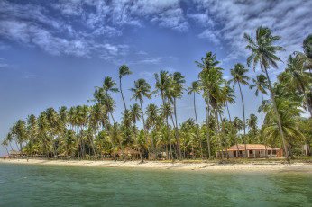 Картинка природа тропики пляж