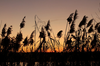 Картинка природа восходы закаты утро