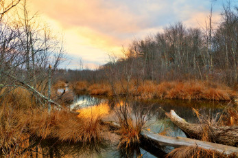 Картинка природа реки озера лес река