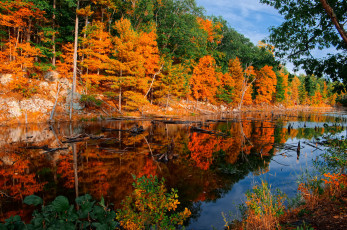 Картинка природа реки озера река лес