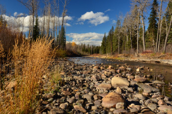 Картинка природа реки озера река лес