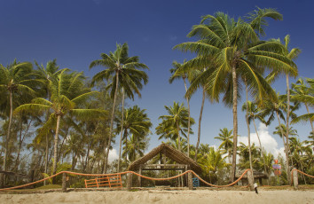 Картинка природа тропики пальмы побережье