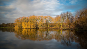 Картинка природа реки озера лес река