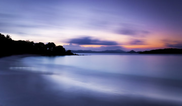 Картинка природа восходы закаты ночь деревья море пляж