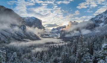 Картинка природа горы лес ущелье