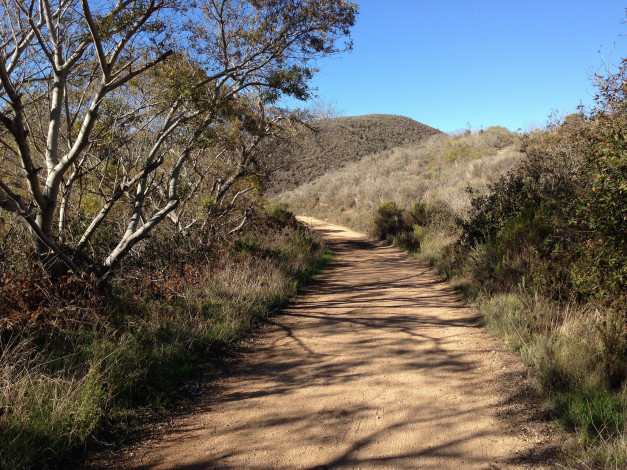 Обои картинки фото природа, дороги, тропа